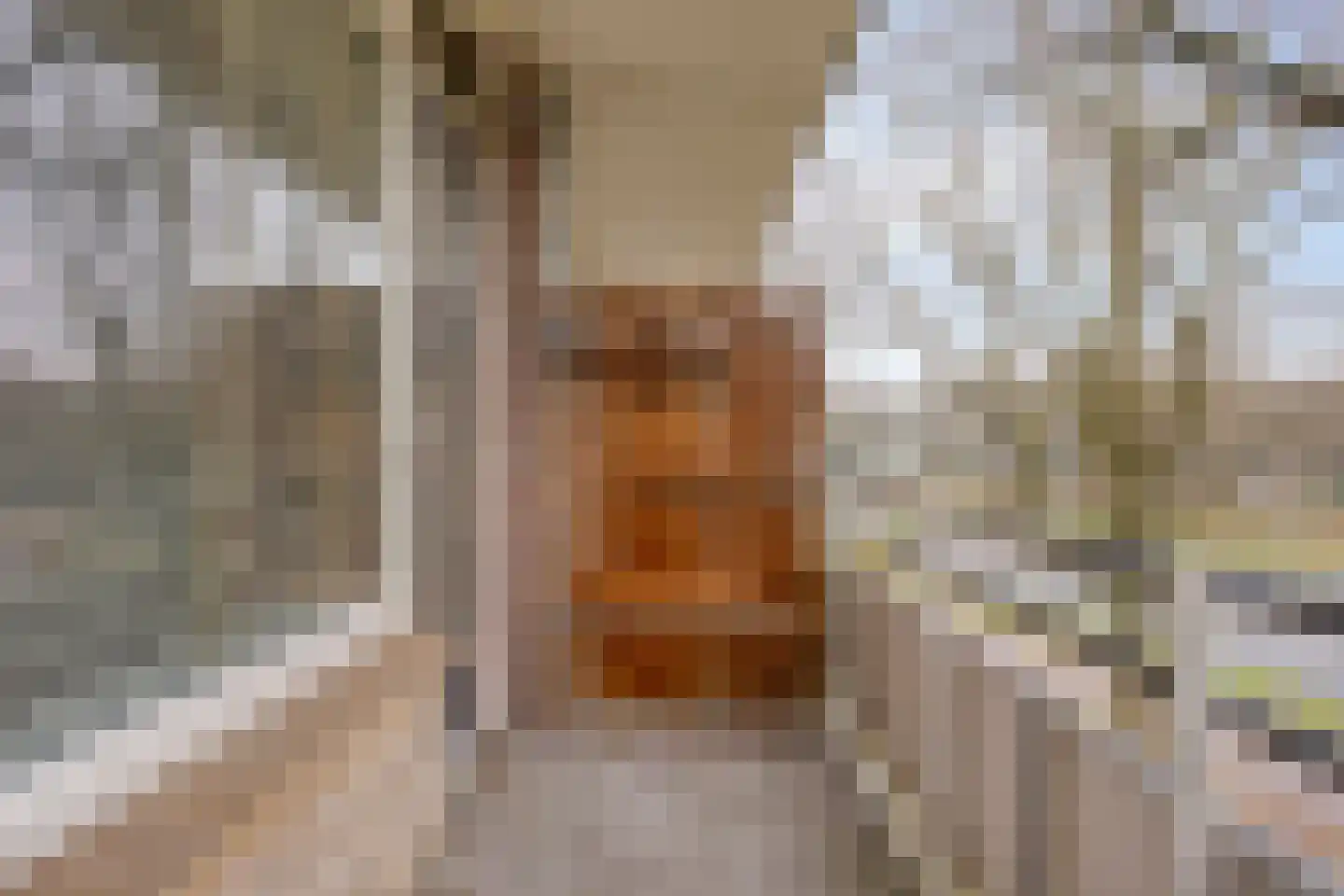 Predikherenlaan 67 Tilburg thumbnail 16