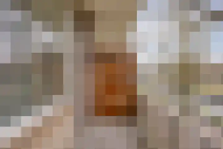 Predikherenlaan 67 Tilburg thumbnail 16