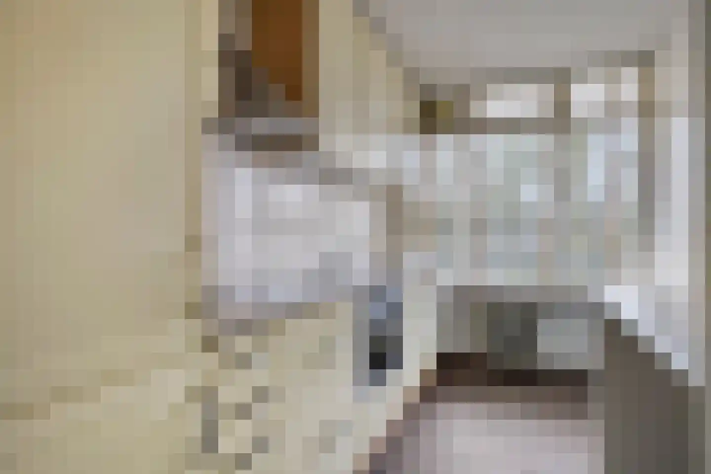 Predikherenlaan 67 Tilburg thumbnail 17