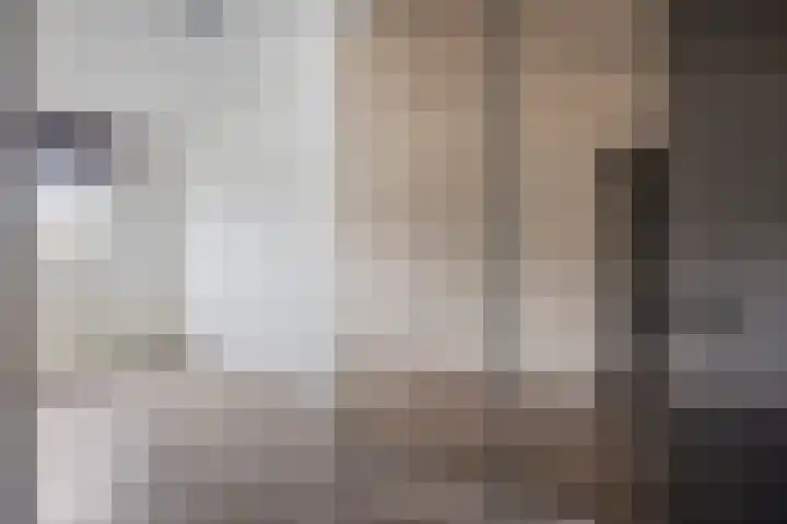 Predikherenlaan 67 Tilburg thumbnail 19