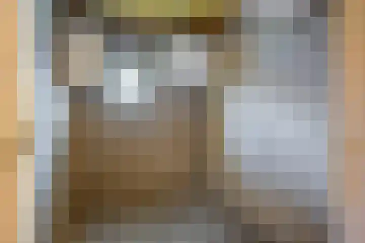 Predikherenlaan 67 Tilburg thumbnail 25