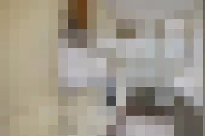 Predikherenlaan 67 Tilburg thumbnail 5