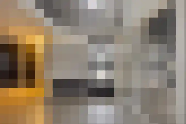Predikherenlaan 67 Tilburg thumbnail 8