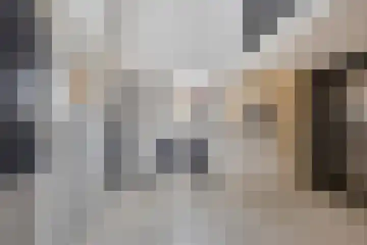 Predikherenlaan 67 Tilburg thumbnail 9