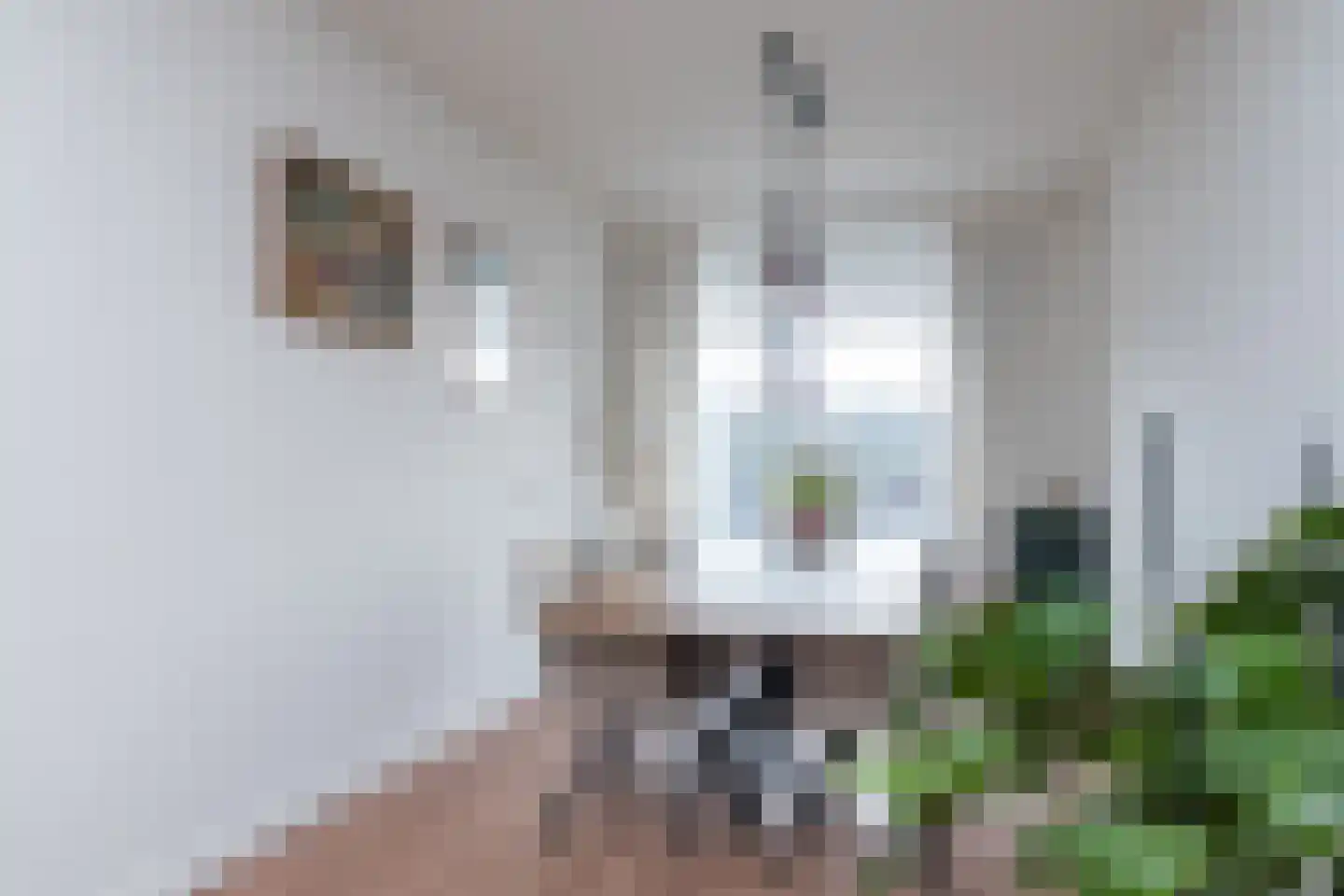 Predikherenlaan 83 Tilburg thumbnail 11