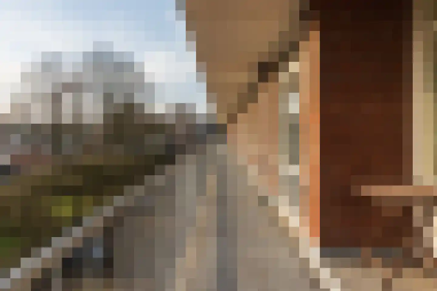 Predikherenlaan 83 Tilburg thumbnail 30