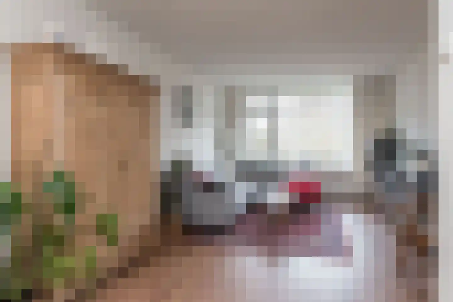 Predikherenlaan 83 Tilburg thumbnail 8