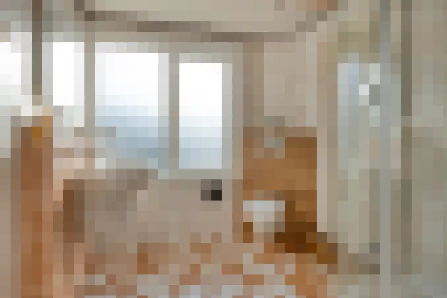 Predikherenlaan 98 Tilburg thumbnail 18