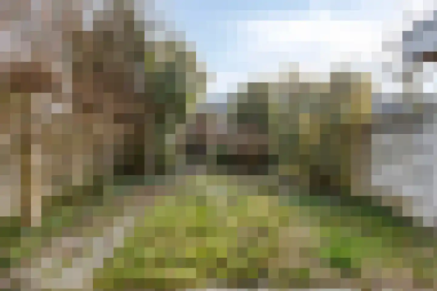 Predikherenlaan 98 Tilburg thumbnail 28