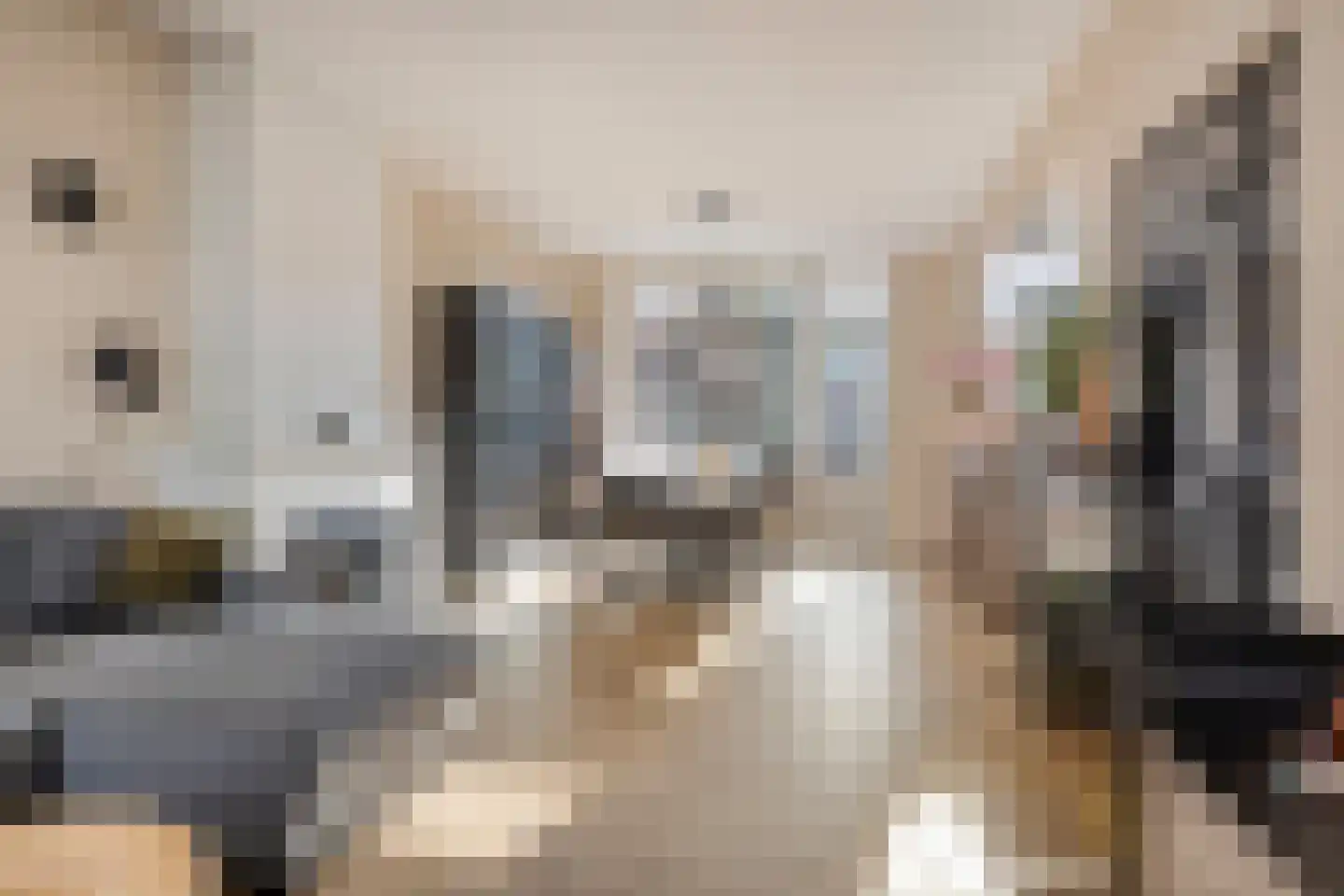 Predikherenlaan 98 Tilburg thumbnail 4