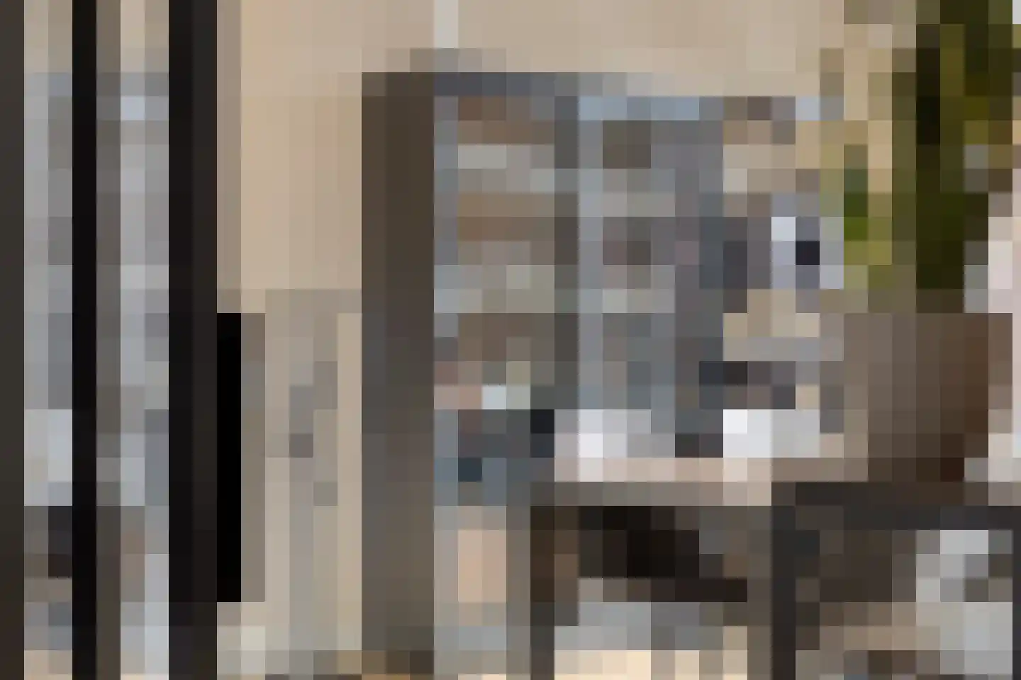 Predikherenlaan 98 Tilburg thumbnail 5