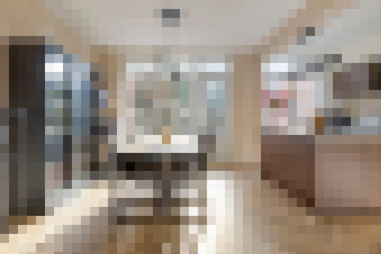Predikherenlaan 98 Tilburg thumbnail 7