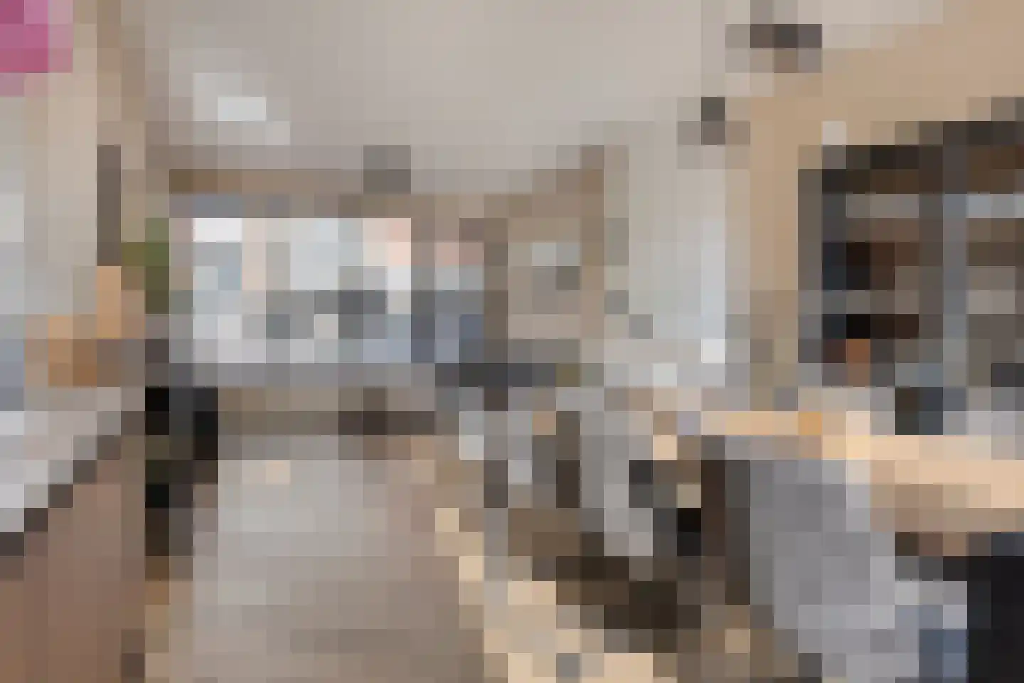 Predikherenlaan 98 Tilburg thumbnail 8
