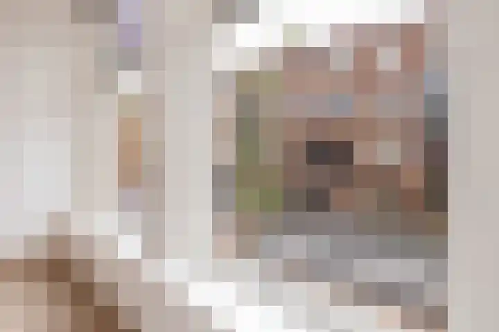 Predikherenstraat 1 A Utrecht thumbnail 10