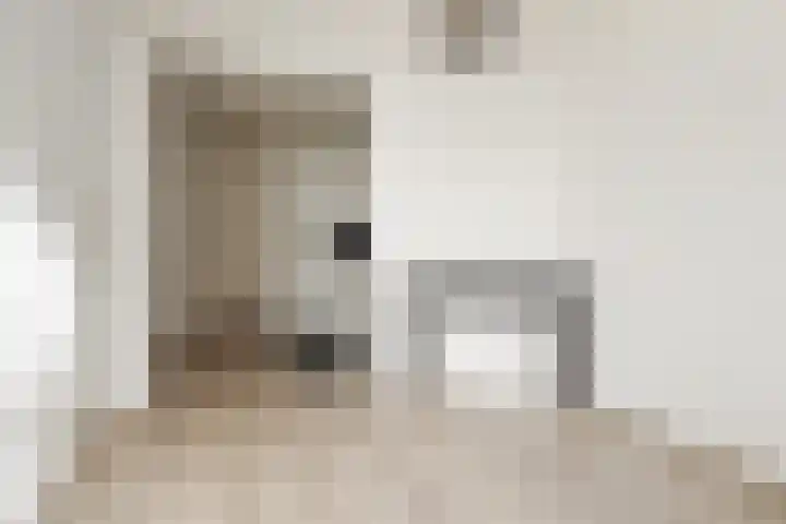 Predikherenstraat 1 B Utrecht thumbnail 4