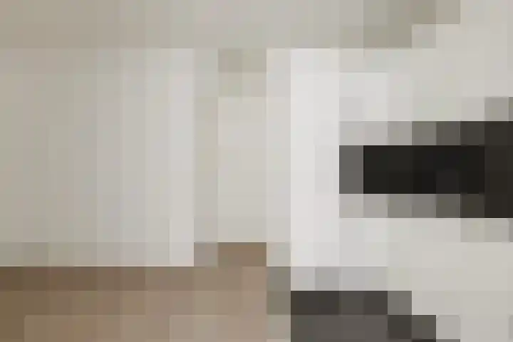 Predikherenstraat 1 B Utrecht thumbnail 5