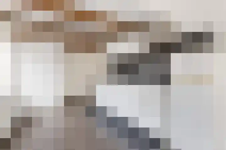 Predikherenstraat 1 C Utrecht thumbnail 4