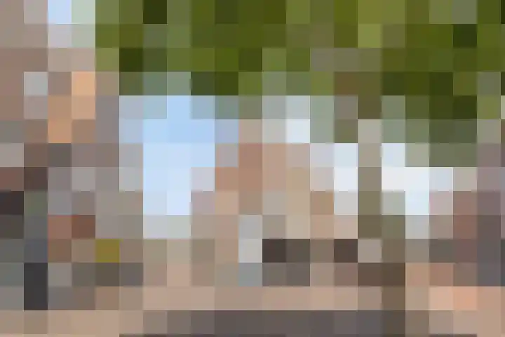 Predikherenstraat 1 C Utrecht thumbnail 7