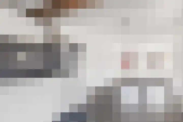 Predikherenstraat 1 C Utrecht thumbnail 9