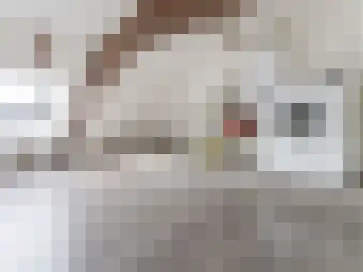 Predikherenstraat 1 E Utrecht thumbnail 15