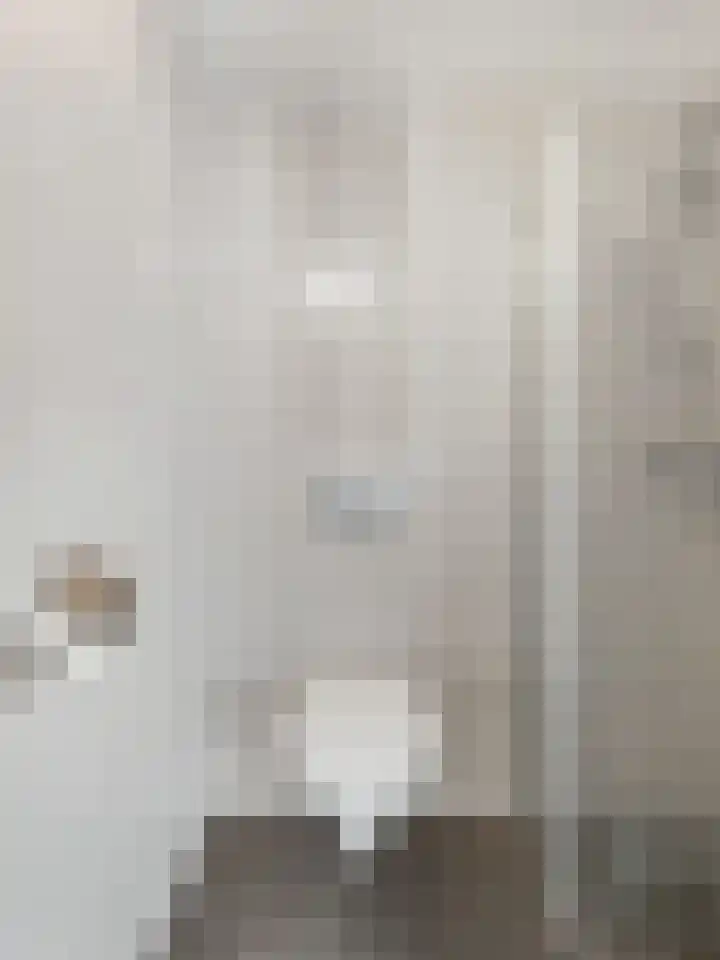 Predikherenstraat 1 E Utrecht thumbnail 17
