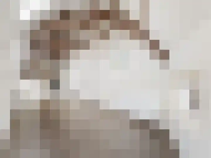 Predikherenstraat 1 E Utrecht thumbnail 8