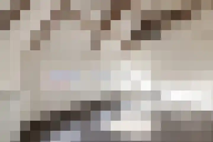 Predikherenstraat 1 G Utrecht thumbnail 10