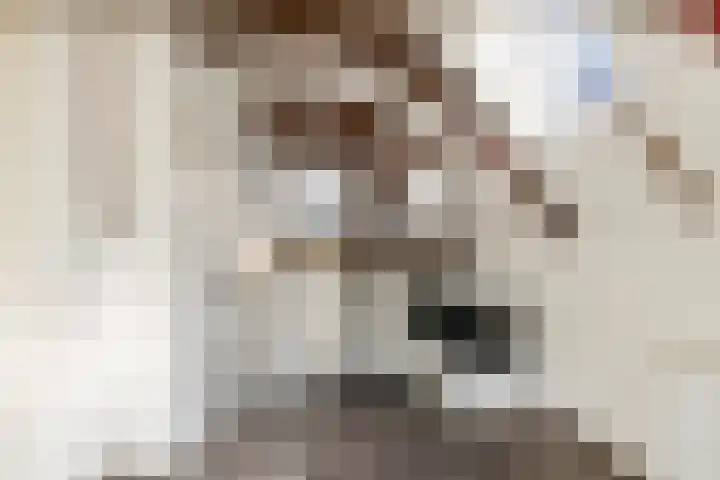 Predikherenstraat 1 G Utrecht thumbnail 12
