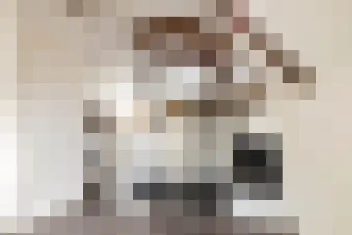Predikherenstraat 1 G Utrecht thumbnail 13