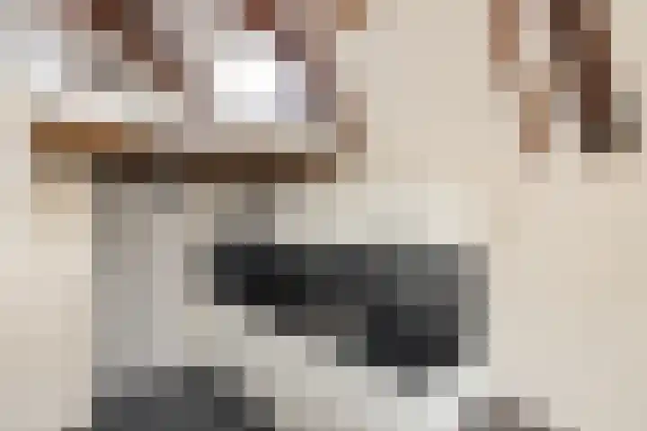 Predikherenstraat 1 G Utrecht thumbnail 14