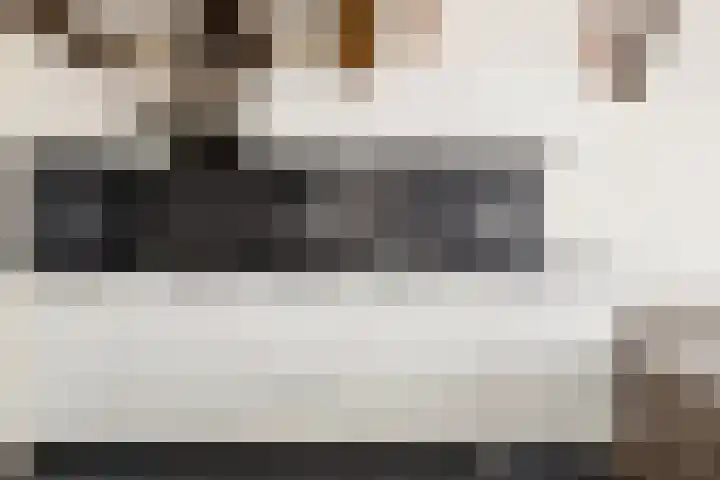 Predikherenstraat 1 G Utrecht thumbnail 15