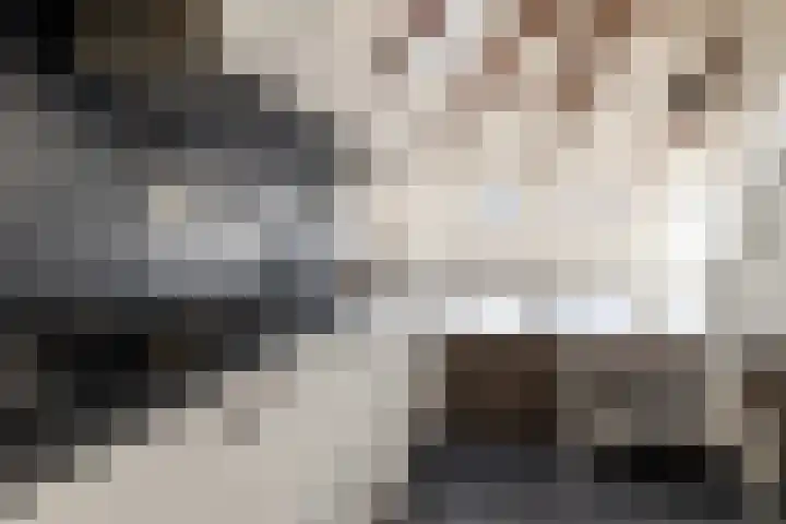 Predikherenstraat 1 G Utrecht thumbnail 16