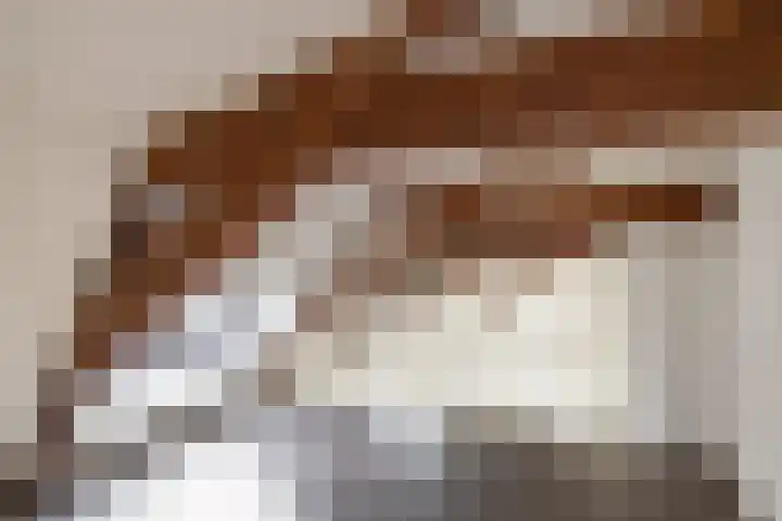 Predikherenstraat 1 G Utrecht thumbnail 20