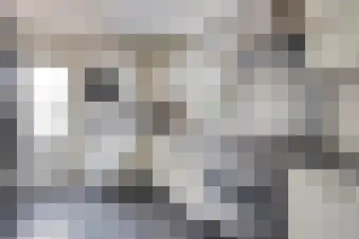 Predikherenstraat 1 Gemert thumbnail 19