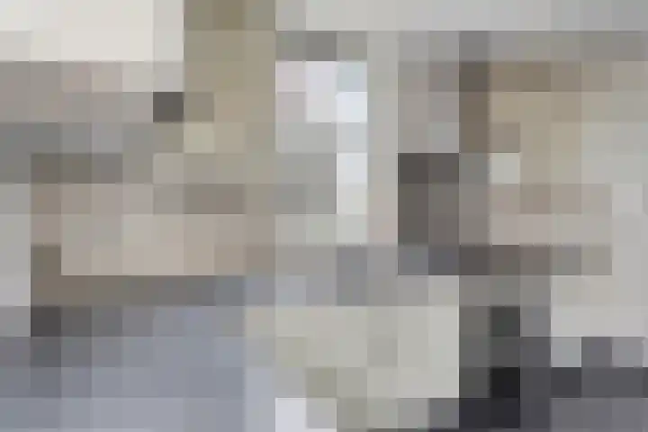 Predikherenstraat 1 Gemert thumbnail 20