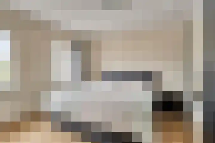 Predikherenstraat 1 Gemert thumbnail 26