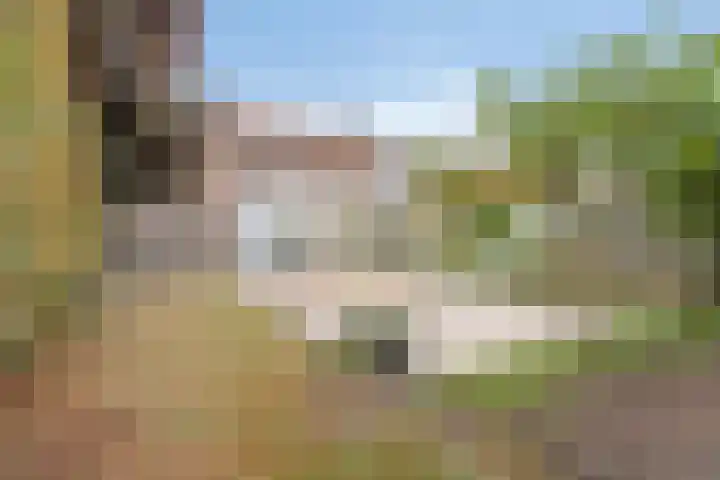 Predikherenstraat 1 Gemert thumbnail 37
