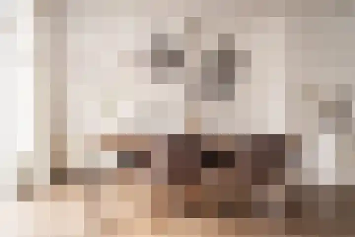 Predikherenstraat 17 BS Utrecht thumbnail 10