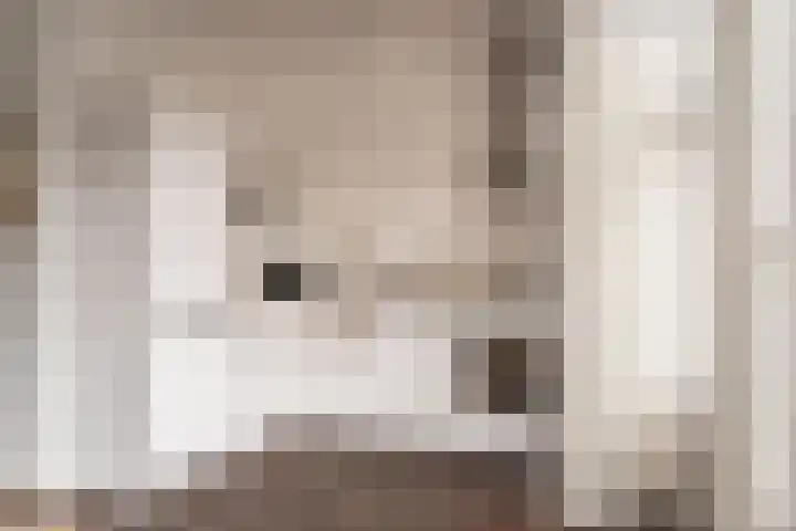 Predikherenstraat 17 BS Utrecht thumbnail 13