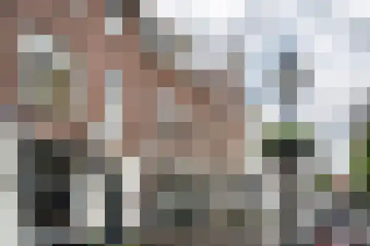 Predikherenstraat 17 BS Utrecht thumbnail 37