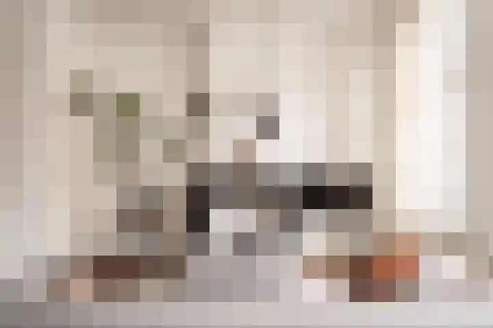 Predikherenstraat 17 BS Utrecht thumbnail 4