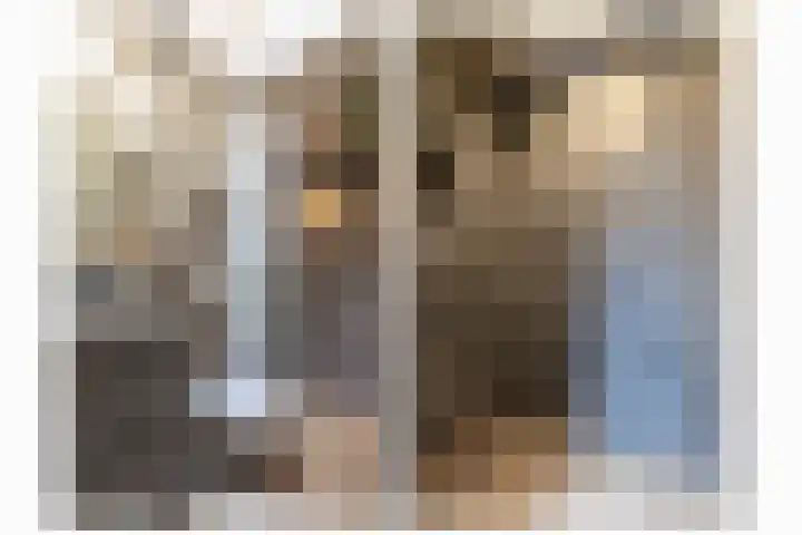 Predikherenstraat 18 Utrecht thumbnail 12