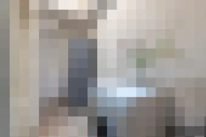 Predikherenstraat 18 Utrecht thumbnail 13