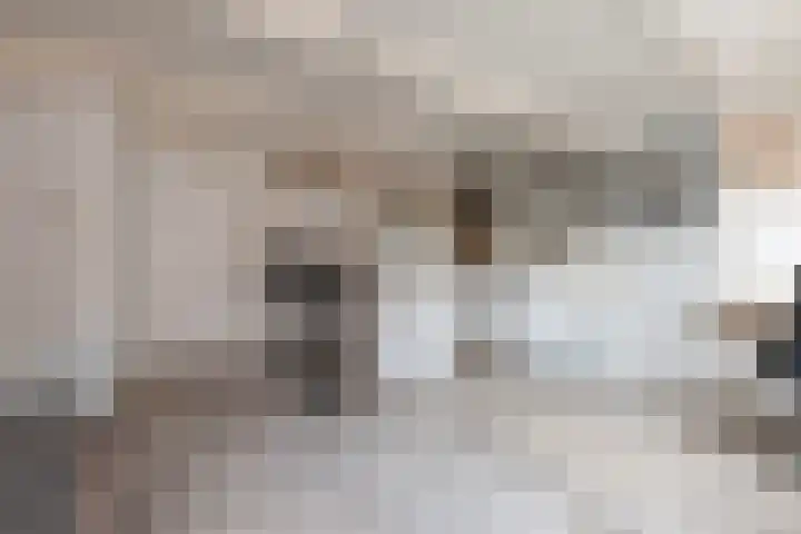 Predikherenstraat 18 Utrecht thumbnail 19