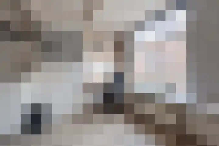 Predikherenstraat 18 Utrecht thumbnail 20