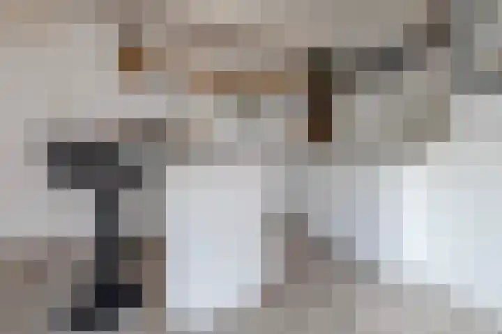 Predikherenstraat 18 Utrecht thumbnail 21