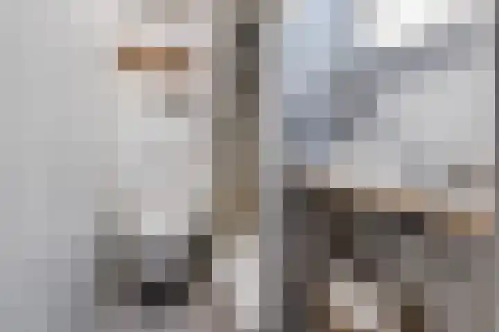 Predikherenstraat 18 Utrecht thumbnail 23