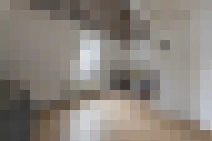 Predikherenstraat 18 Utrecht thumbnail 27
