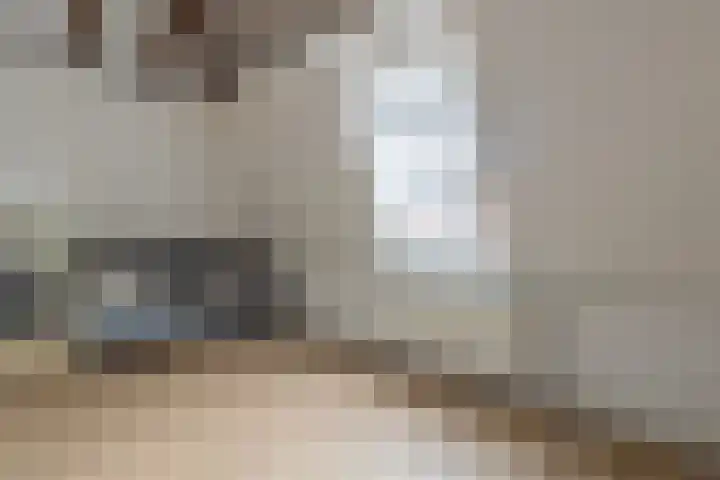 Predikherenstraat 18 Utrecht thumbnail 28