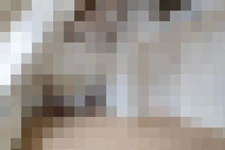Predikherenstraat 18 Utrecht thumbnail 29